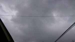 お昼のお時間 2019/6/22