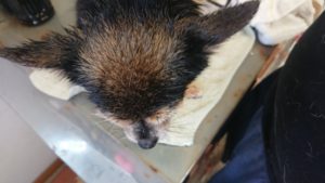 夕方前のお時間 2019/6/19