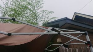 朝のお時間 2019/6/29