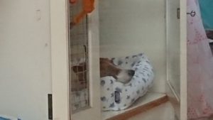 お昼のお時間 2019/6/25