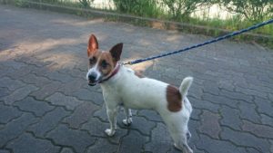 夜のお時間 2019/6/25