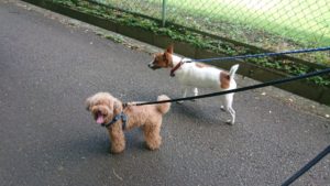 朝のお時間 2019/6/26