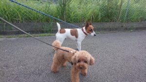 夜のお時間 2019/6/26