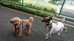 朝のお時間 2019/6/27