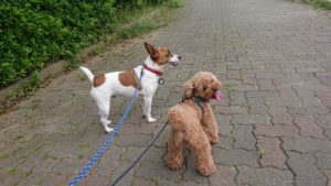 夜のお時間 2019/6/27