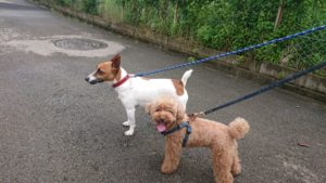 朝のお時間 2019/6/28