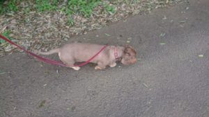 朝のお時間 2019/6/1