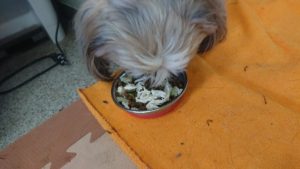 お昼のお時間 2019/6/1