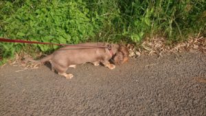 夜のお時間 2019/6/1