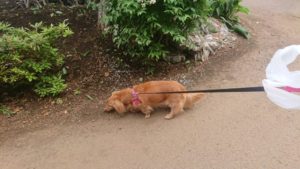 朝のお時間 2019/6/2