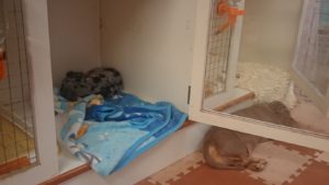 昼のお時間 2019/6/2