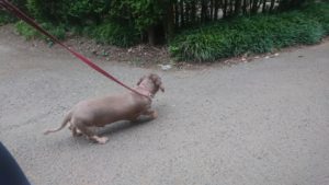 夜のお時間 2019/6/2