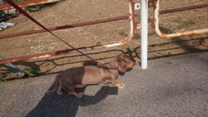 夜のお時間 2019/6/3