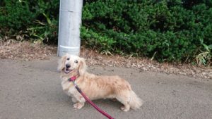 夜のお時間 2019/6/4