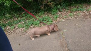 朝のお時間 2019/6/5