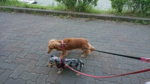 夜のお時間 2019/6/5