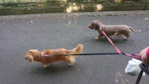 朝のお時間 2019/6/6