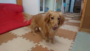 あちぃ～😅 2019/6/6