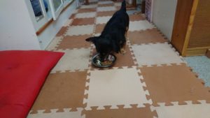 夜のお時間 2019/6/7