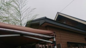 朝のお時間 2019/6/8