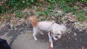 夜のお時間 2019/6/8