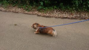 朝のお時間 2019/6/9