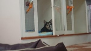 昼のお時間 2019/6/18