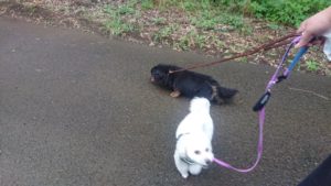 朝のお時間 2019/7/19