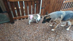 朝のお時間2019/7/7