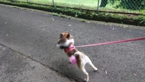 夜のお時間 2019/7/6