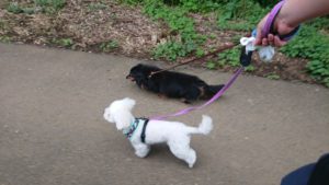 夜のお時間 2019/7/15