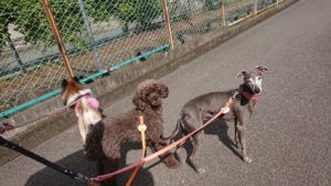 朝のお時間 2019/7/10