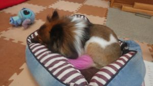 昼のお時間 2019/7/7