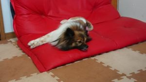 昼のお時間 2019/7/10