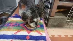 昼のお時間 2019/7/14