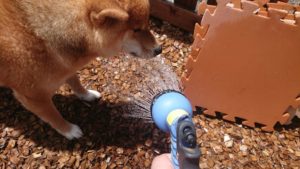 昼のお時間 2019/7/19