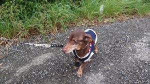 朝のお時間 2019/7/5