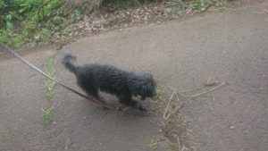 夜のお時間 2019/7/10