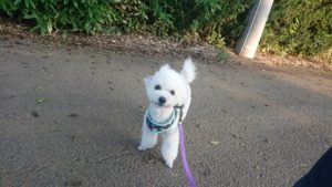 夜のお時間 2019/7/17