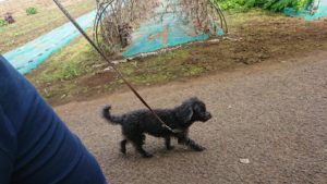 朝のお時間 2019/7/11