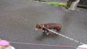 朝のお時間 2019/7/8