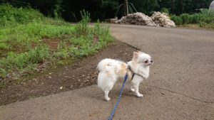 朝のお時間 2019/7/20