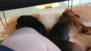 昼のお時間 2019/7/13