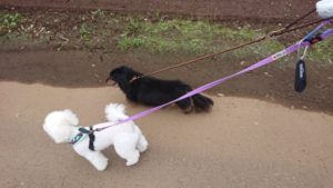 朝のお時間 2019/7/18