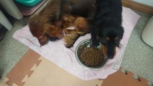 お昼のお時間  2019/7/17