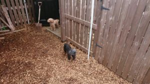 昼のお時間 2019/7/5