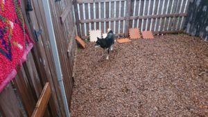 夜のお時間 2019/7/16