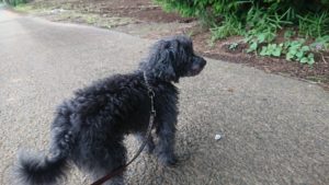 夜のお時間 2019/7/13