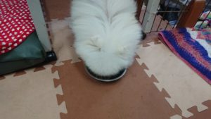 昼のお時間 2019/7/11