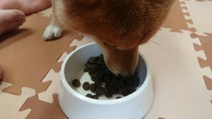 昼のお時間 2019/7/20